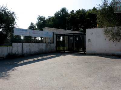 Il nostro tour termina qualche decina di metri pi� in l�, dove perveniamo di fronte a un cancello verde: quello del Mapia, il pi� grande canile del Mezzogiorno, attivo dal 1994. La ringhiera, le mura e i massicci alberi celano alla nostra vista le tantissime bestiole bisognose di essere curate e soprattutto adottate